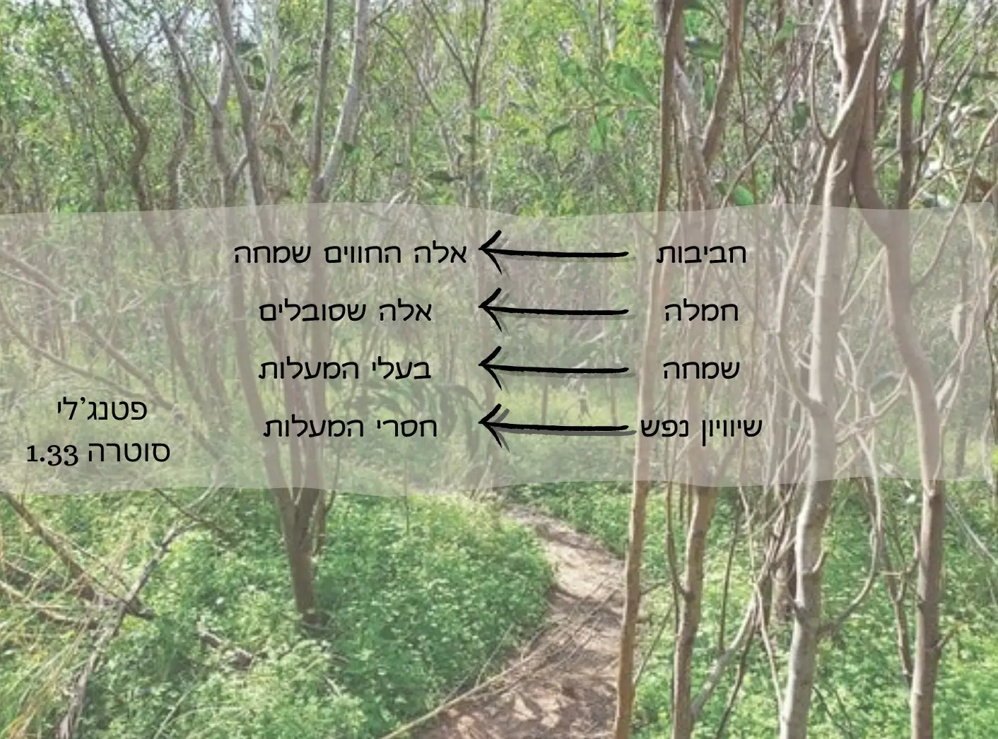 ארבעה מפתחות לארבעה מנעולים - יוגה ויחסים