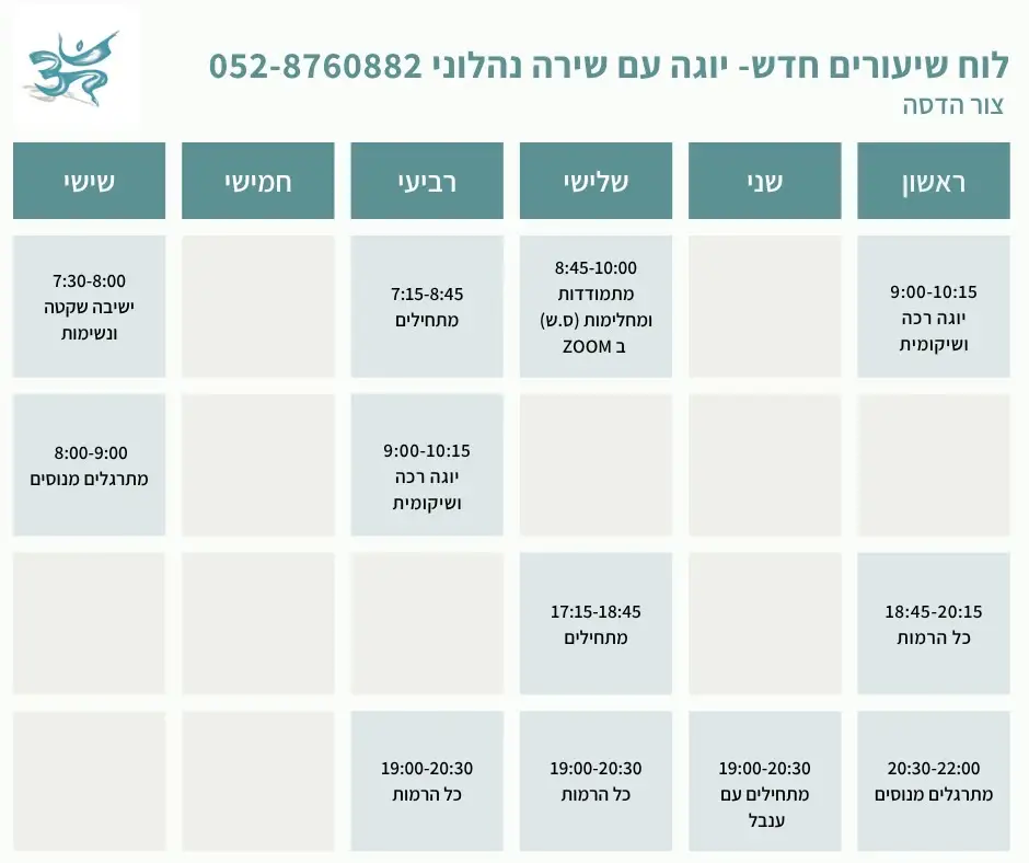 מערכת שעות לסטודיו - שירה נהלוני